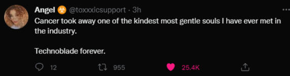 Angel Toxxxicsupport